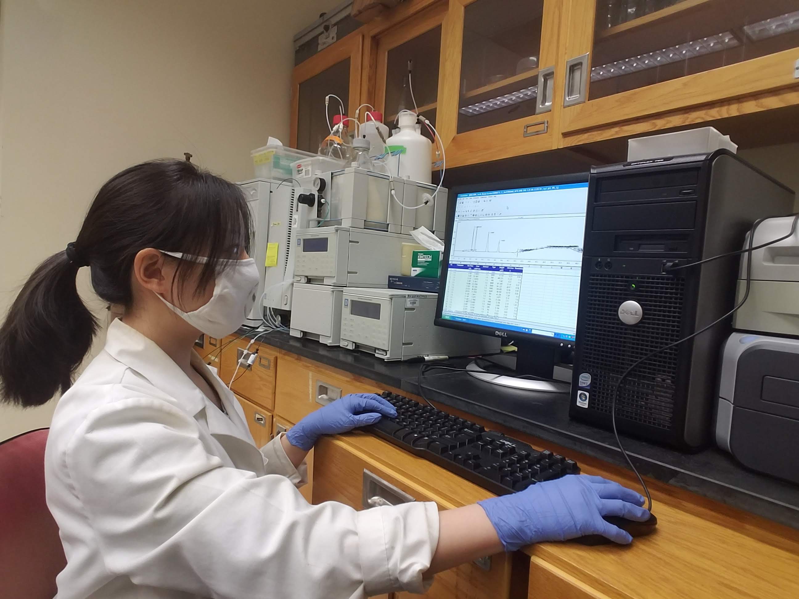 Graduate student Yurah Kim evaluating organic acid HPLC profiles in a progeny (family) segregating for the low malic acid gene