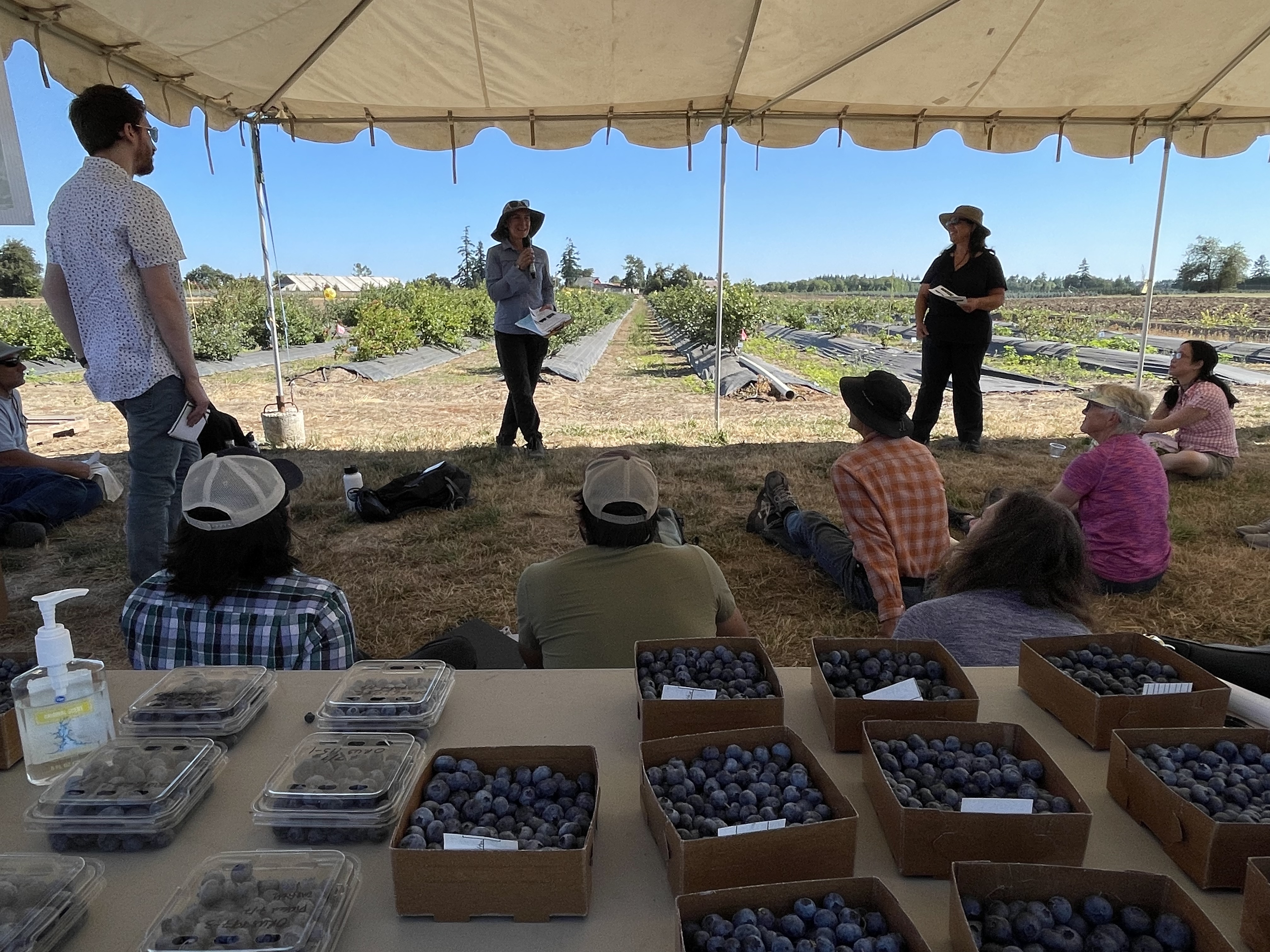 uby discussing blueberry breeding and VacCAP with growers in OR, USA.