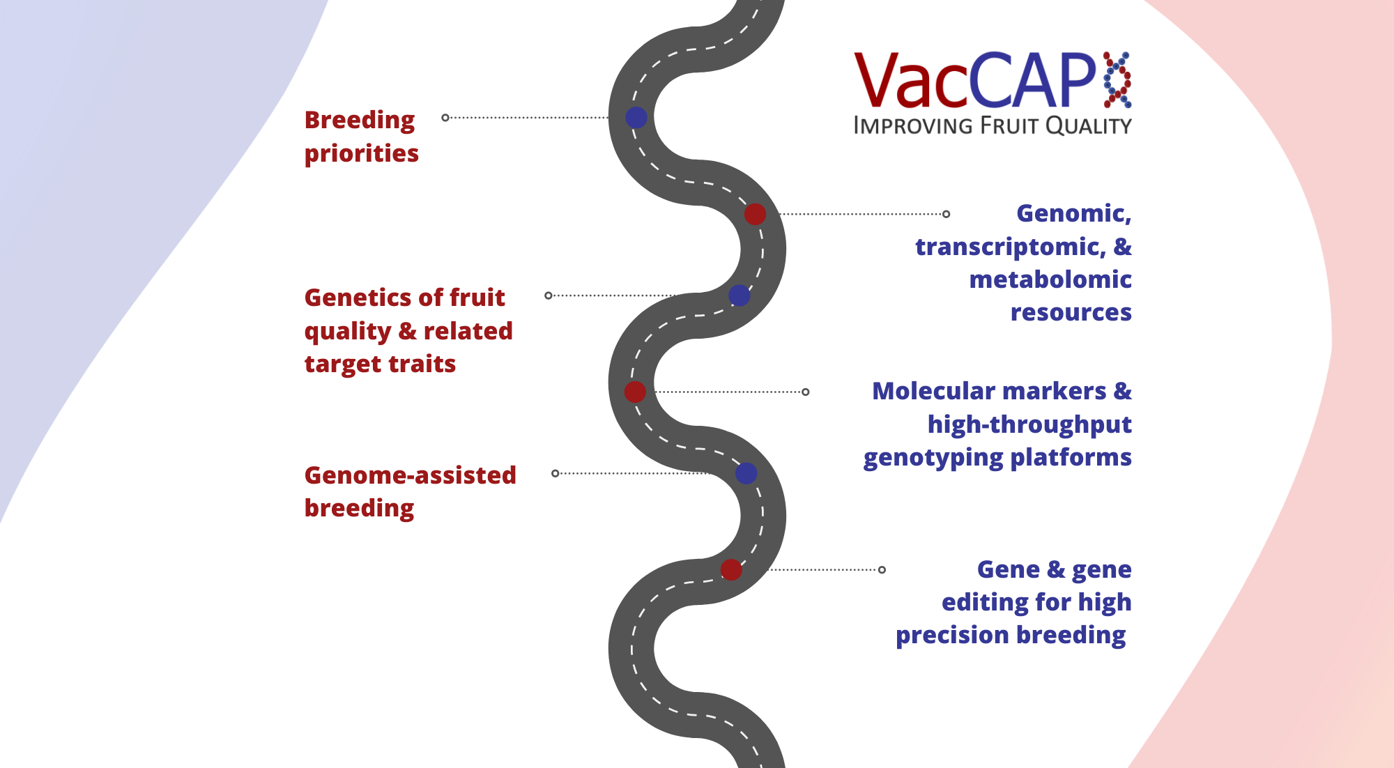Vaccinium Roadmap Graphic 