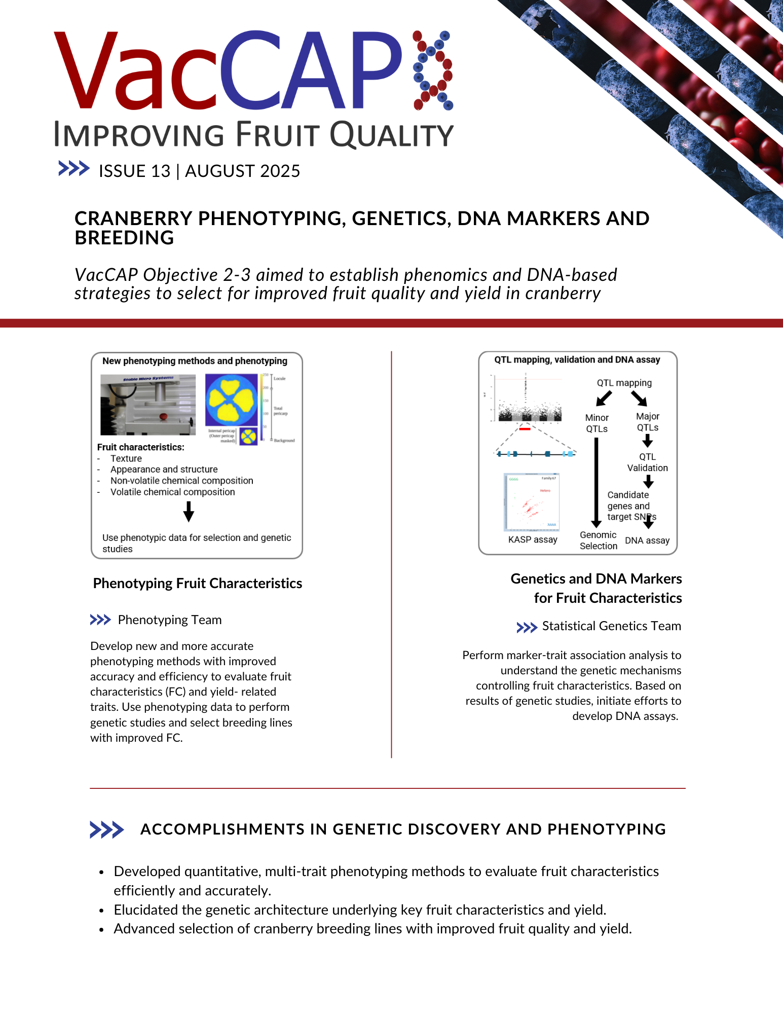 VacCAP Objective 2 & 3 Newsletter Cover