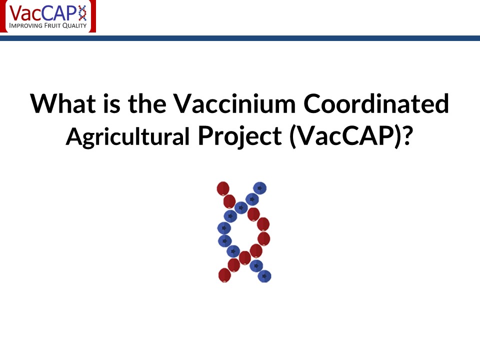 What is VacCAP front page