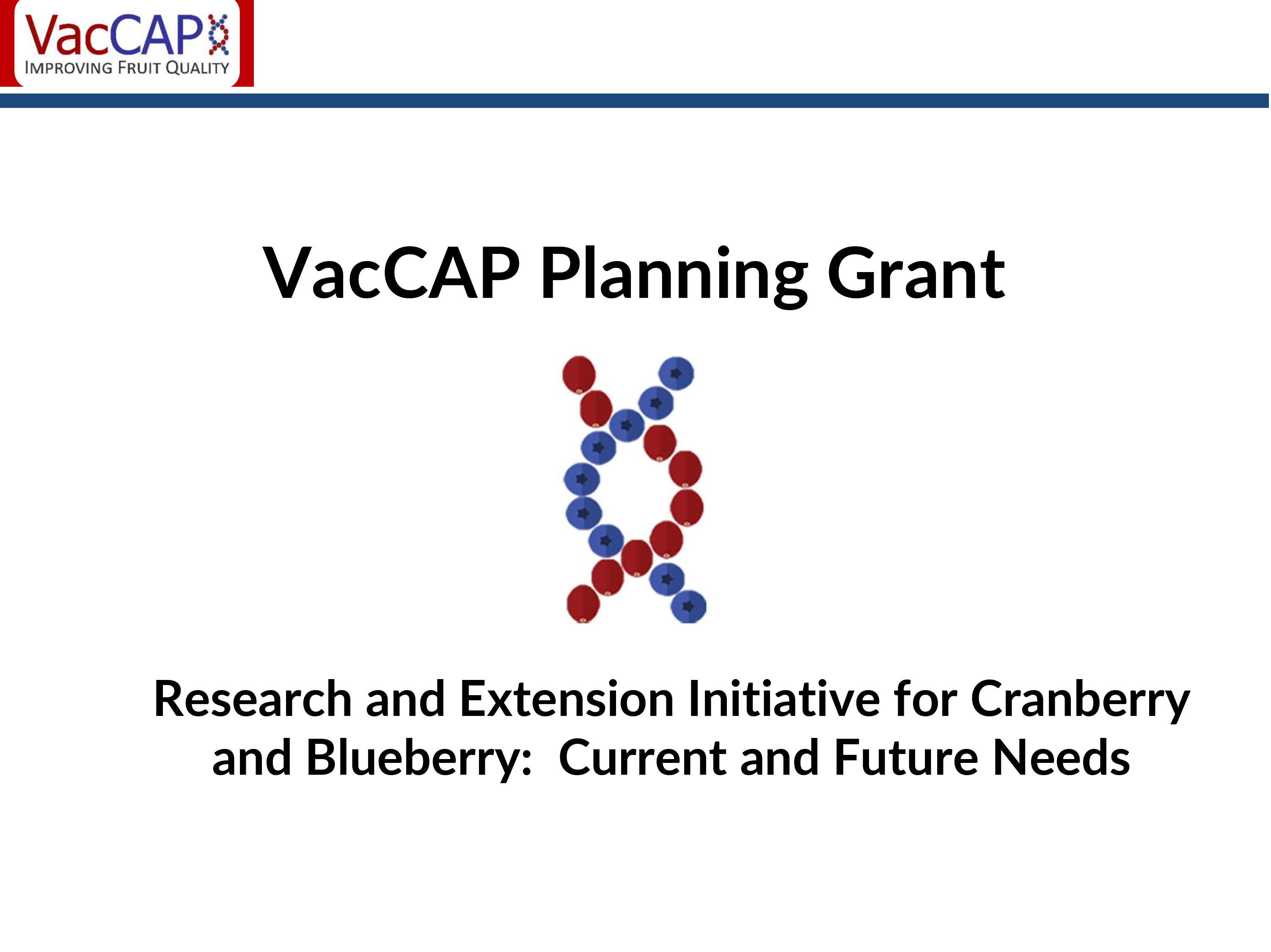 Front page slide of Planning Grant PDF