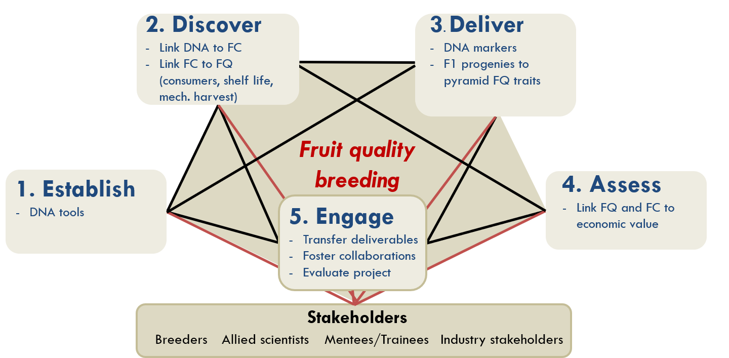 Project Objectives