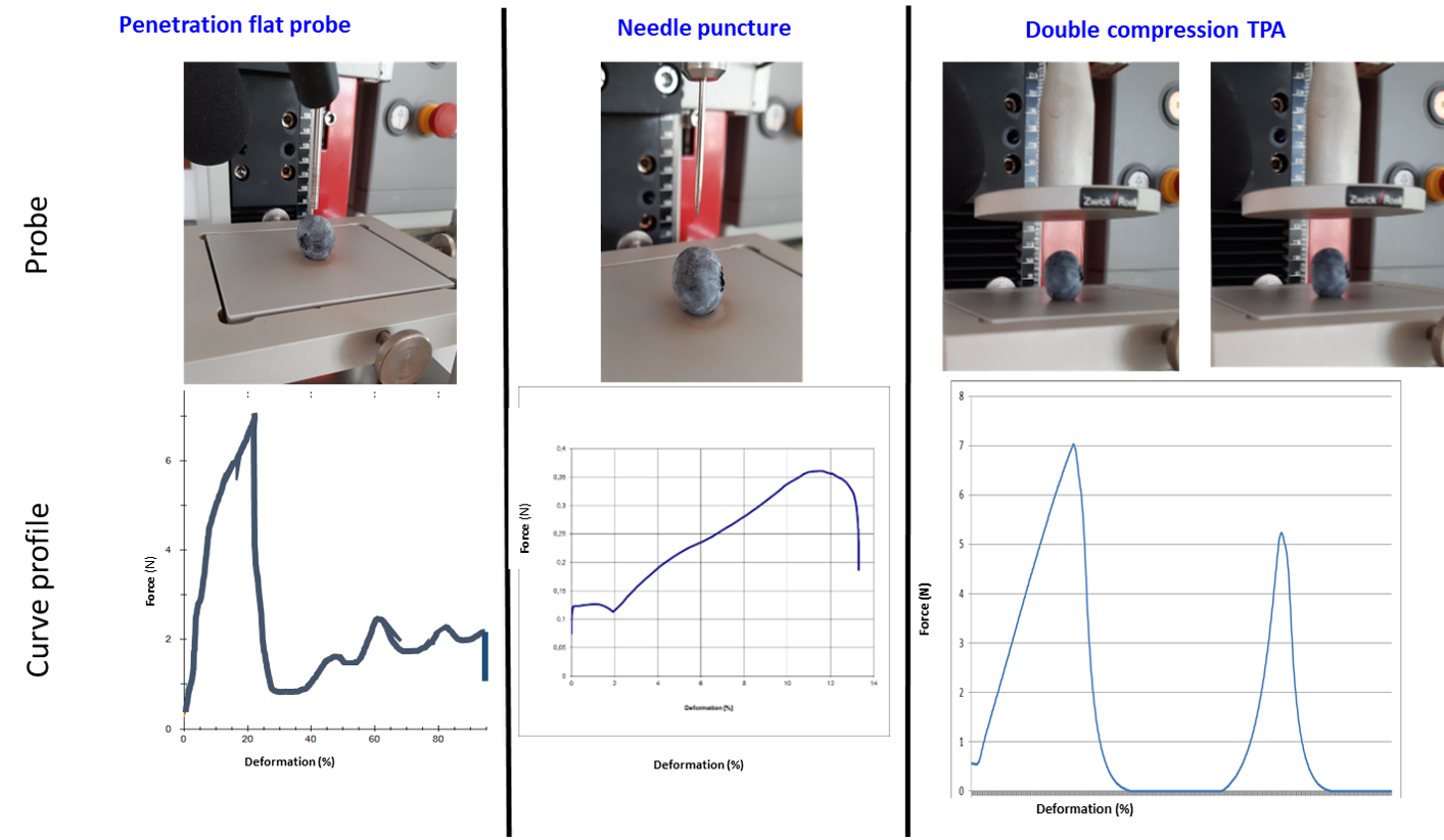 Different methododologies for texture analysis in blueberry developed by Giongo’s team,